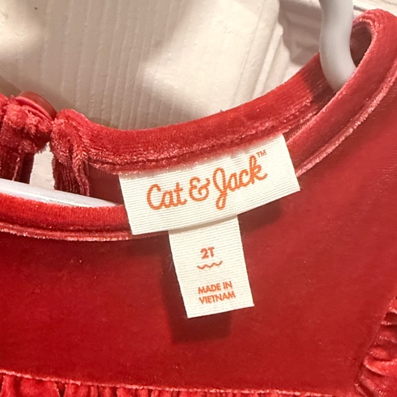 Red Velvet Ruffle Dress - Picture 2 of 4